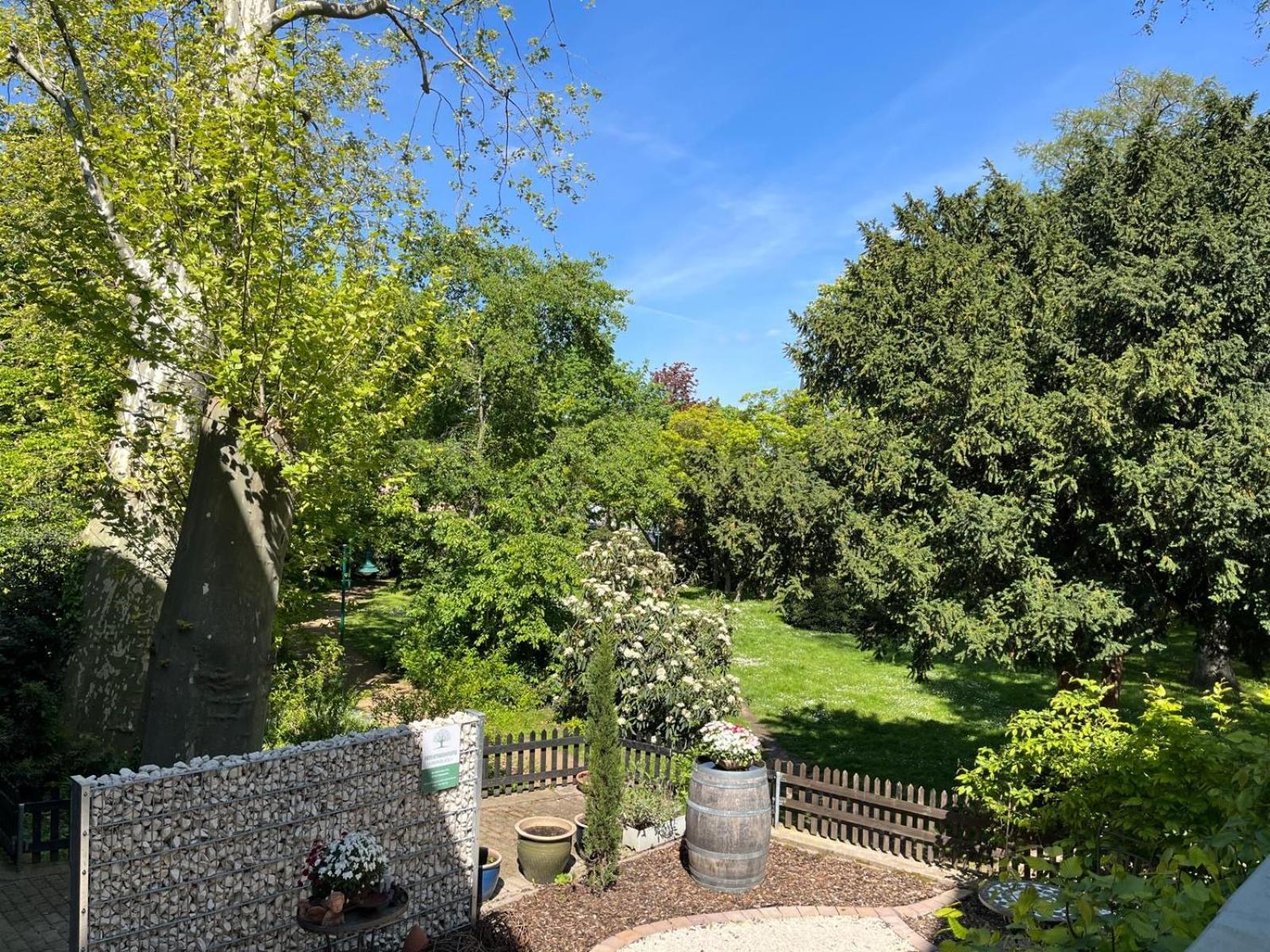Zentrale Ferienwohnung Am Buhlschen Park In Deidesheim Bagian luar foto